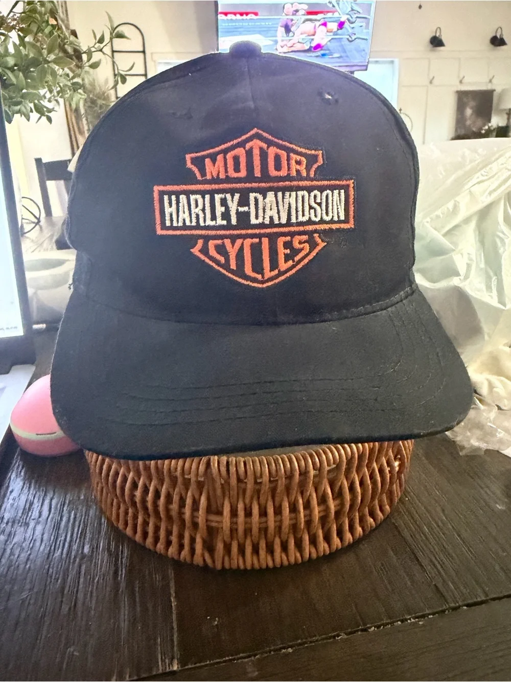 Vintage SnapBack Harley-Davidson hat